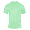 Mint T Shirt